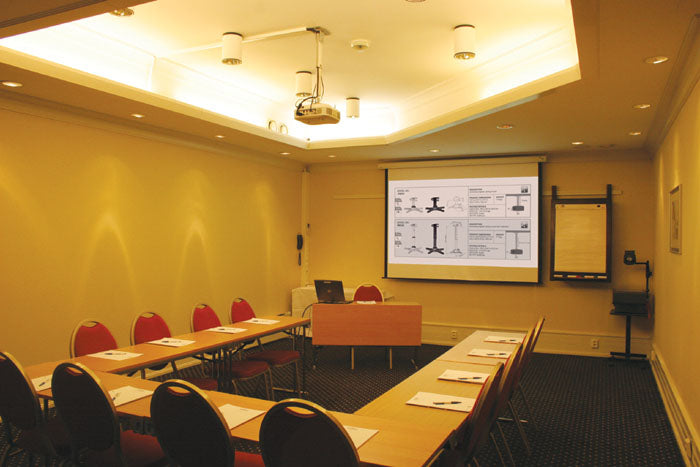 BEST Universal Projector Mount with 22-38" Neck